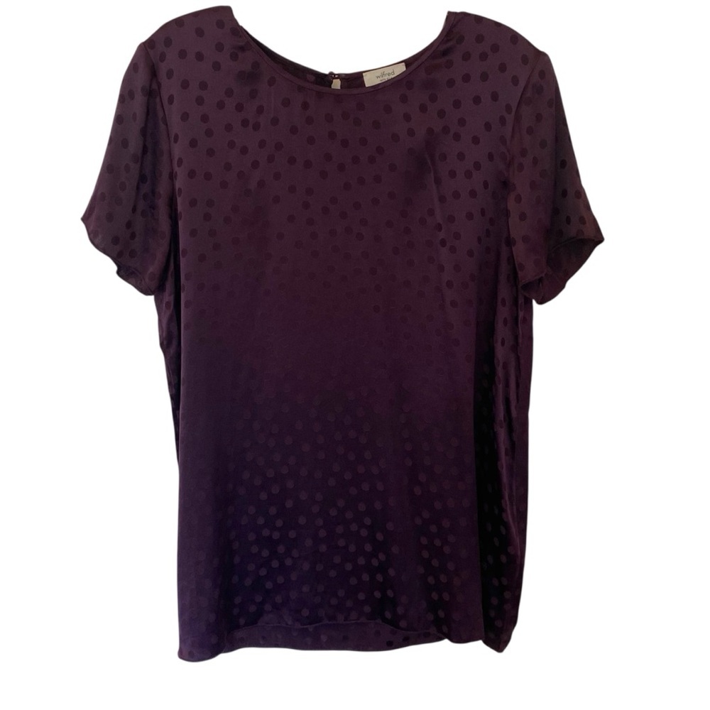 Aritzia Wilfred Free Silk Blouse